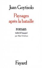 Paysages après la bataille