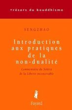 Introduction aux pratiques de la non-dualité