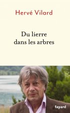 Du lierre dans les arbres