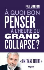 A quoi bon penser à l'heure du grand collapse ?