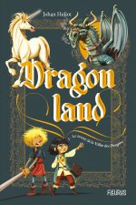 Dragonland - Tome 1 - Le secret de la vallée des dragons, tome 1
