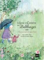Le livre a compter de Balthazar/A la poursuite du lapin brun