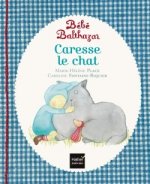 Caresse le chat