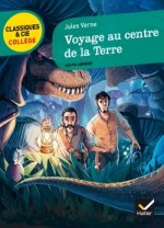 Voyage au centre de la Terre (1864)
