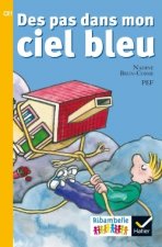 Ribambelle CE1/Des pas dans mon ciel bleu