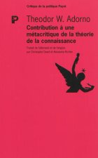 Contribution à une métacritique de la théorie de la connaissance