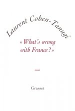 «What's wrong with France ?»