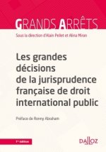 Les grandes décisions de la jurisprudence française de droit internationl public