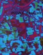 Puzzle gaulois - les Gaules en mémoire