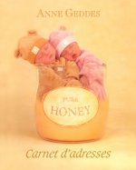 CARNET D'ADRESSES ANNE GEDDES 2005