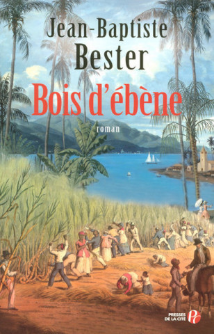 BOIS D EBENE