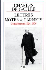 Lettres, notes et carnets tome 13