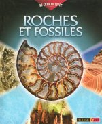 ROCHES ET FOSSILES