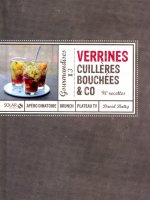Verrines, cuillères, bouchées & co 90 recettes