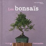 Les bonsaïs - Variations jardin