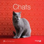 Chats - La Collection