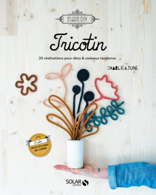 Tricotin - 20 réalisations pour déco & cadeaux tendance