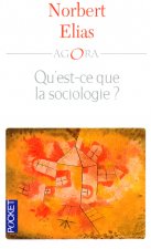 Qu'est-ce que la sociologie ?