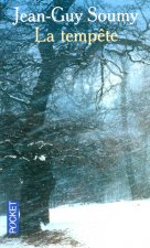 La tempête
