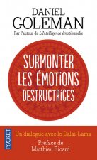 Surmonter les émotions destructrices