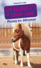Les écuries de Sandy Lane - numéro 2 Poney en détresse