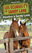 Les écuries de Sandy Lane - numéro 3 Mystère à Sandy Lane