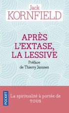 Après l'extase, la lessive