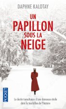 Un papillon sous la neige