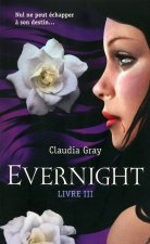 Evernight - tome 3 Hourglass