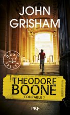 Theodore Boone - tome 3 Coupable ?