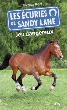 Les écuries de Sandy Lane - numéro 6 Jeu dangereux