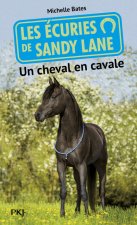 Les écuries de Sandy Lane - numéro 7 Un cheval en cavale