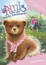 Mes amis de la forêt enchantée - tome 13 Anna Fleur-de-Miel oublie tout