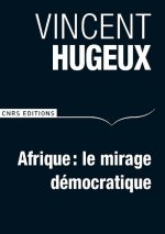 Afrique. Le mirage démocratique