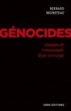 Génocides. Usages et mésusages d'un concept