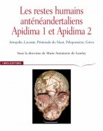Les restes humains anténéandertaliens Apidima 1 et Apidima 2