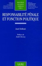 responsabilité pénale et fonction politique