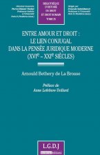 entre amour et droit : le lien conjugal dans la pensée juridique moderne (xvie-x