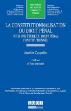 la constitutionnalisation du droit pénal : pour une étude du droit pénal constit