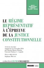 le régime représentatif à l'épreuve de la justice constitutionnelle