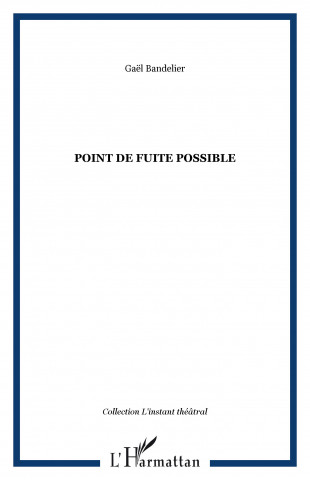 Point de fuite possible