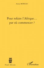 Pour refaire l'Afrique... par où commencer ?