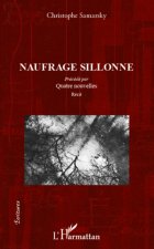 Naufrage sillonne