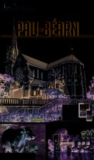 pau - bearn 2019 petit fute + offre num
