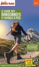 guide des randonnees à pied 2019 petit fute + offre num