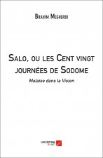 Salo, ou les Cent vingt journées de Sodome : Malaise dans la Vision