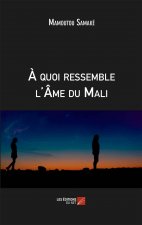 À quoi ressemble l'Âme du Mali