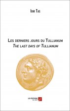 Les derniers jours du Tullianum - The last days of Tullianum