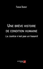 Une brève histoire de condition humaine - La Justice n’est pas un hasard