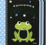 Un livre qui brille - Grenouille